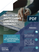 Boletin de Inspecciones 11