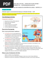 Repaso Terapia Del Dolor