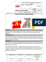 Formato Brigada Contra Incendios: Nivel 7: Formatos N°