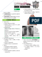 Anatomia Da Parede Torácica 29.09