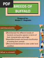 BREEDS OF BUFFALO (Revised)