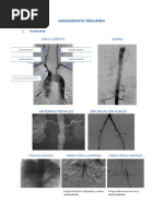 Angiografía Resumen