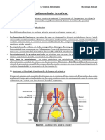 Résumé Système Urinaire