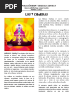 Los Chakras PDF