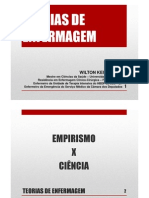 SES 2011 - Teorias de Enfermagem e SAE