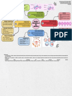 Tarea 3 - Mapa Mental - Desarrollo Del Individio - Zyaya Estrada