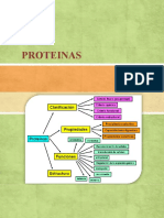 PROTEINAS