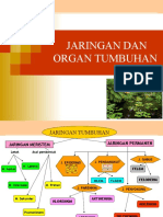 Jaringan Tumbuhan - Ipa Part 1