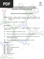 #5 Identificación de Aldehídos y Cetonas