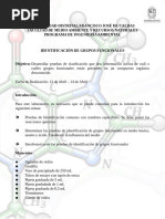 #6 Identificación de Grupos Funcionales