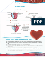 How The Heart Works