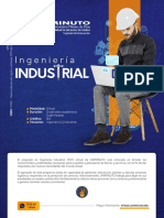 Ingenieria Industrial