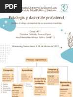 Psicología y Desarrollo Profesional: Unidad 4. Mapa Conceptual de Los Procesos Mentales