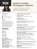 CV - Andrea Dominguez Maestre