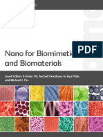 Nano For Biomimetics