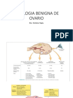 3.semana 3