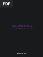 Brochure Mineprism