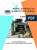 Profil Kesehatan Kabupaten Lebak TAHUN 2021