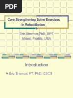 Spine Stabilization Powerpoint