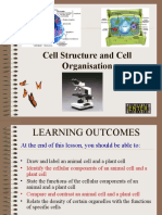 Cell Structure and Cell Organisation