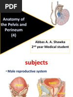 Abbas A. A. Shawka 2 Year Medical Student