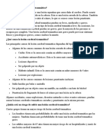 ¿Qué Es Una Lesión Cerebral Traumática?