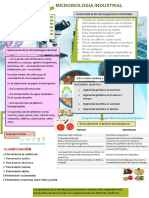 Infografia 15