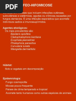 Feo-Hifomicose: Agentes Etiológicos: Os Mais Prevalentes São