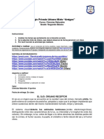 Colegio Privado Urbano Mixto "Amigos": Curso: Ciencias Naturales Grado: Segundo Básico