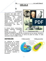 Célula: Introducción