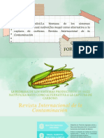 Marcos.B (2016, Julio) .La Biomasa de Los Sistemas Productivos de Maíz Nativo (Zea Mays) Como Alternativa A La Captura de Carbono. Revista Internacional de La Contaminación