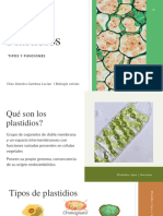 Plastidios: Tipos Y Funciones