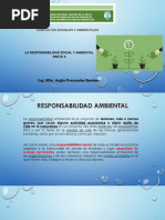 Conflictos Sociales Y Ambientales: La Responsabilidad Social Y Ambiental Parte Ii