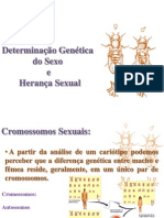 Herança Sexual e Mutações - FEPECS 8, 9 e 10