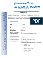 Curriculum Vitae MANUEL SANDOVAL ESPINOZA