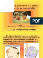 Organismos y Ambiente (2º Parte) Ciclo de Vida en Los Animales