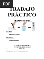 PRACTICO CROMATOGRAFIA Terminado