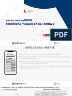 Aspectos Básicos de La Seguridad y Salud en El Trabajo-1