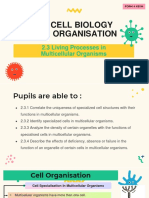 2.0 Cell Biology and Organisation: 2.3 Living Processes in Multicellular Organisms