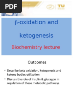 B Oxidationand Ketogenesis 2023