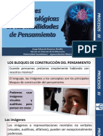 Bases Neuropsicológicas de Las Habilidades de Pensamiento