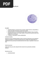 Clostridium Botulinum: Description