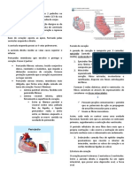 Anatomia - Sistema Cardiovascular