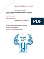 Estructuras Organizacionales y Gestión Del Conocimiento