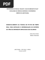 Desenvolvimento Da Técnica de RT-PCR em Tempo Real para Detecção E Diferenciação de Estirpes Do Vírus Da Bronquite Infecciosa Das Galinhas