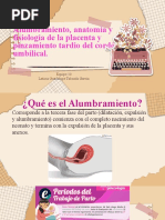 Alumbramiento, Anatomía y Fisiología de La Placenta y Pinzamiento Tardio Del Cordón Umbilical