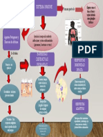 Organizador Grafico Ciencias para La Ciudadania