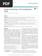 Cranial Morphology in The Brachygnathic Sheep