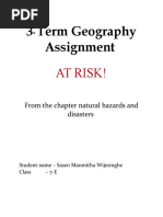 3rd Term Geography Assignment