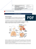 Función Respiratoria: Escuela Profesional de Enfermeria Enfermeria en Salud Del Niño Y Adolescente Ii